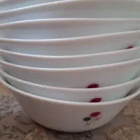 سرویس آرکوپال قاصدک|ظروف سرو و پذیرایی|زنجان, |دیوار