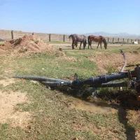 یک مادیون ۶کره