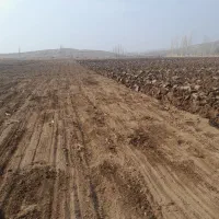 اجاره 9 هکتار زمین کشاورزی|اجارهٔ دفتر صنعتی، کشاورزی، تجاری|میاندوآب, |دیوار