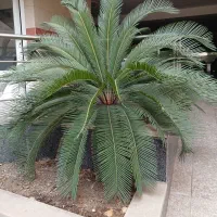 نظافت منزل و راه پله و مشاعات|خدمات نظافت|ساری, |دیوار