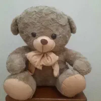 شاخسین ولنتاین