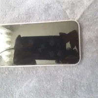 ایفون 13|موبایل|کرمان, |دیوار