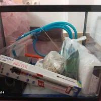 آکواریوم|ماهی|قم, شاه احمد قاسم|دیوار