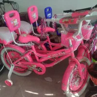 دوچرخه دخترانه20 صورتی (درفروشگاه امینی)