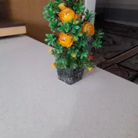 گل و گلدان|صنایع دستی و سایر لوازم تزئینی|قم, زند آباد|دیوار