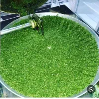 خورد کردن سبزی به قیمت عمده