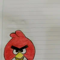 تزیینی دفتر مشق