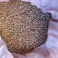 نخود درجه 1امسال|خوردنی و آشامیدنی|موچش, |دیوار