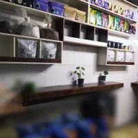 دکور میز صندلی قفسه شلف|کتابخانه، شلف، قفسههای دیواری|اراک, |دیوار