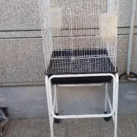 قفس پرنده