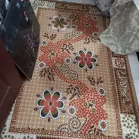 گیلیم تازه در حد نو نو