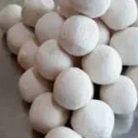 محصولات گوسفندی