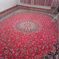 فرش ۱۲ متری دو عدد و دو عدد کناره فرش سبز رنگ
