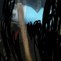 تبر، اره،پیک نیک