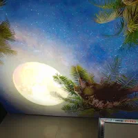 نصاب دکورلسیون|خدمات پیشه و مهارت|مشگین شهر, |دیوار