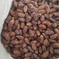 خرما درجه1