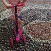 فرش ۱۲متری ۷۰۰ شانه نگین مشهد
