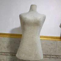 یک عدد مانکن مفت