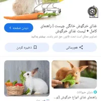 غذای خرگوش پلت یونجه