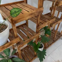 میز جا گلدونی|گل و گیاه طبیعی|رشت, علی آباد|دیوار
