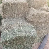 یونجه چین اول