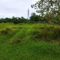 فروش یک قطعه زمین جاده انزلی