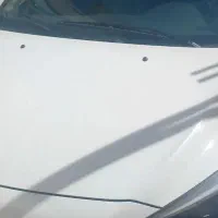 شاهین دنده ای