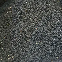 بذر پیاز زرد فلات ۶ ماهه