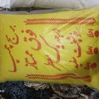 برنج محلی چمپا و برنج فجر