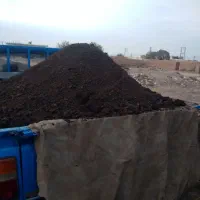 کود پوسیده گاوی وگوسفندی وخاک باغچه