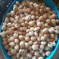 انجیر سفید فروشی خرده و عمده