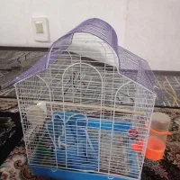 قفس|لوازم جانبی حیوانات|فولادشهر, مسکن مهر فولادشهر|دیوار