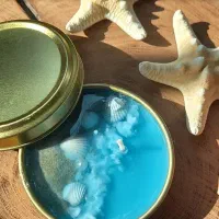 شمع قوطی دریایی|صنایع دستی و سایر لوازم تزئینی|تهران, مشیریه|دیوار