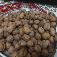 گردوی محلی تازه محصول خشک شده از رضوانشهر رسید.