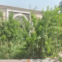 ،کمپ،دورهمی،جمع دوستانه