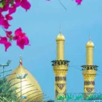 کاروان زیارتی مشهدالرضا حرم تا حرم کربلای معلی