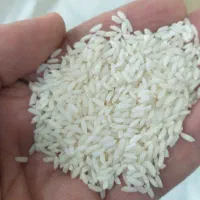 انواع برنج ایرانی درجه یک