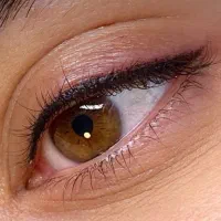 فرصتی استثنایی