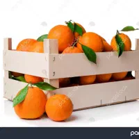 جعبه چوپی پرتقال