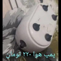 بخاری آکواریوم و تصفیه آب|ماهی|زابل, |دیوار