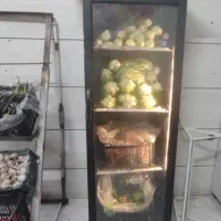 یخچال ایستاده تک درب