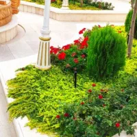 خدمات باغبانی در سراسر کرج