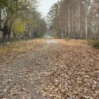 ایرانسل دائمی رند