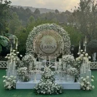 اجاره و اجرای سفره عقد و دیزاین نامزدی|خدمات پذیرایی، مراسم|تهران, استاد معین|دیوار