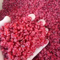 عناب جگری امسالی وزرشک پفکی امسالی|خوردنی و آشامیدنی|بجستان, |دیوار