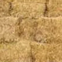 پرس گندم