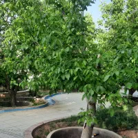 باغشهر-1280-متری-دادگستری