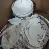 سرویس چینی 550