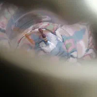 500000 تومان