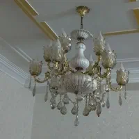 شش شاخه دوبل دونه ای 13